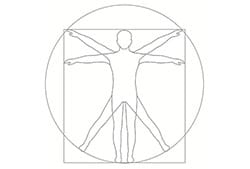 vitruvian.jpg